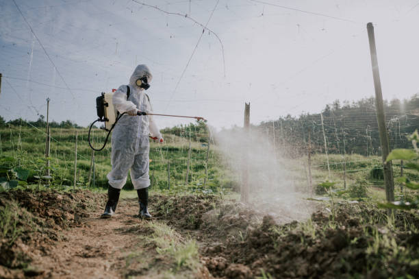 Best Local Pest Control Services  in Fox Lake, IL