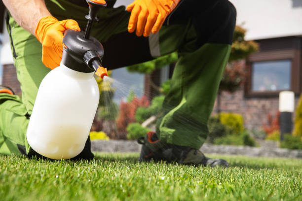 Best Cockroach Control Services  in Fox Lake, IL