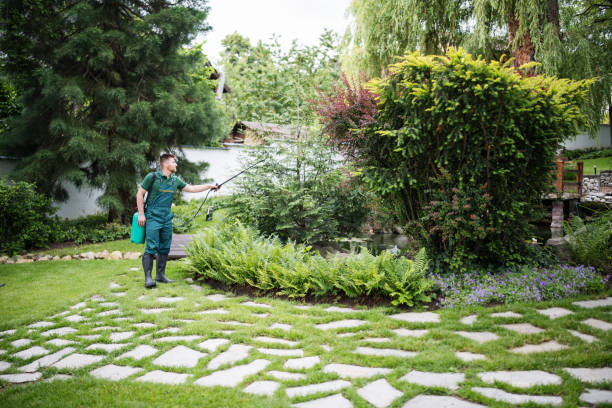 Best Emergency Pest Control  in Fox Lake, IL