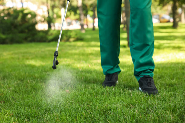 Best Flea Control Services  in Fox Lake, IL