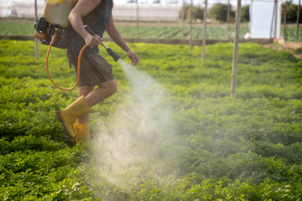 Trusted Fox Lake, IL Pest Control Experts