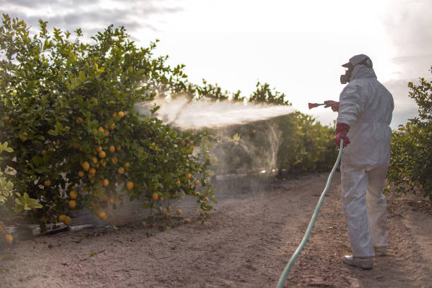 Best Bed Bug Extermination  in Fox Lake, IL