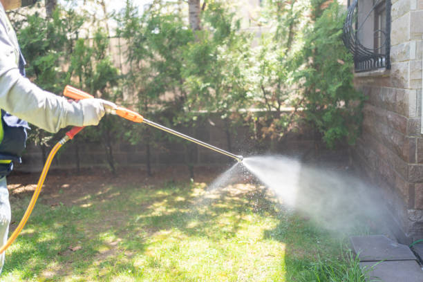 Best Residential Pest Control  in Fox Lake, IL