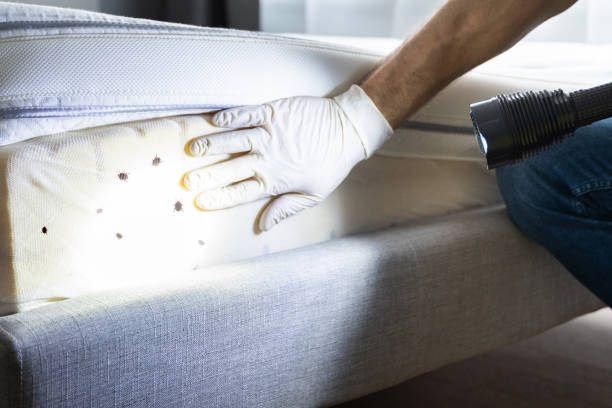 Best Pest Inspection Near Me  in Fox Lake, IL