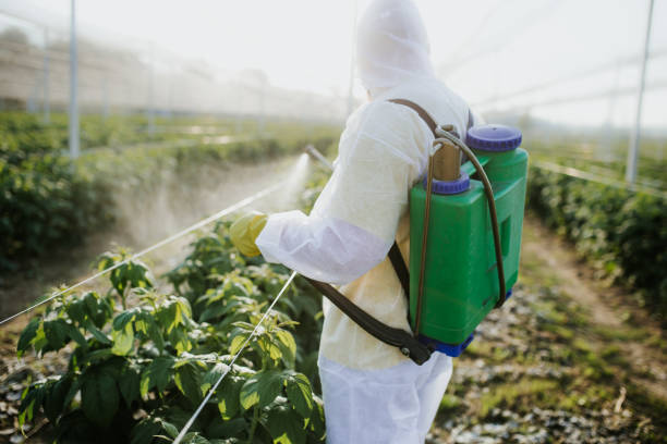 Best Mosquito Control Services  in Fox Lake, IL
